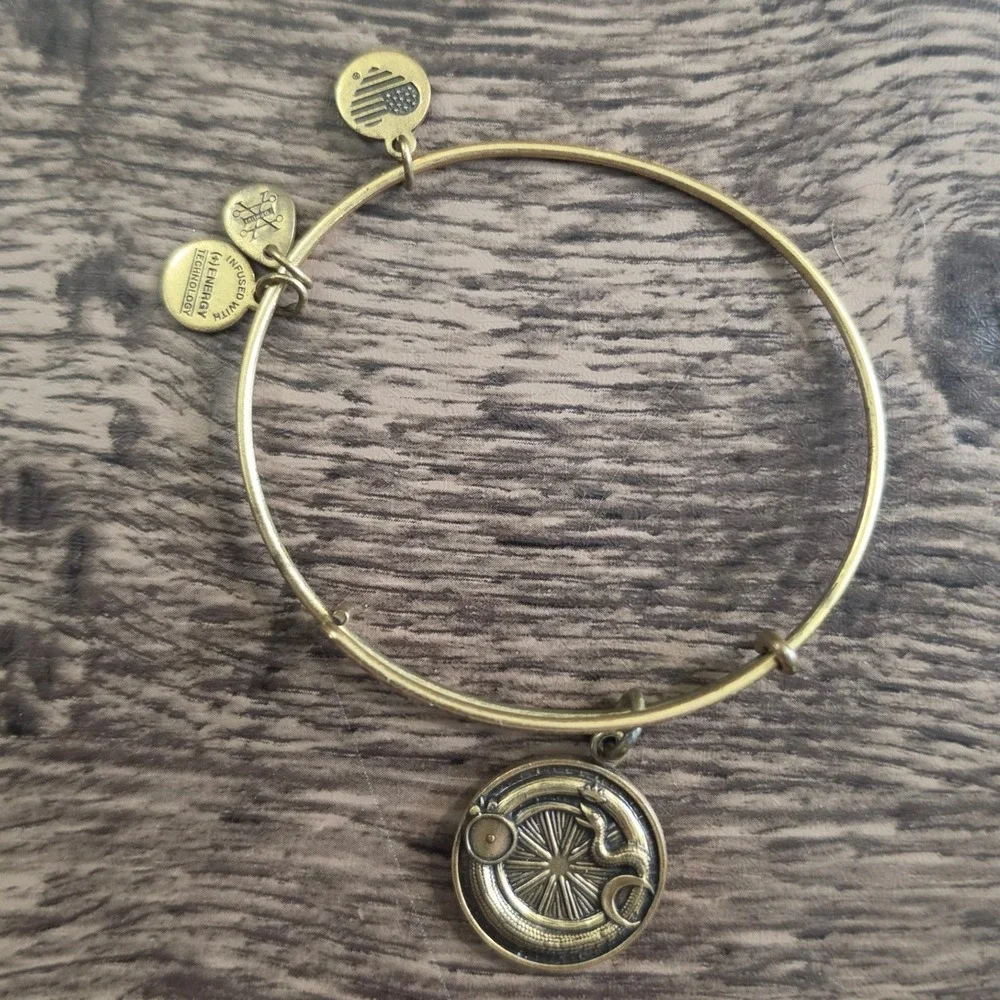 ALEX AND ANI Ouroboros Bangle Women Gold Infinity Unity Creation Bracelet